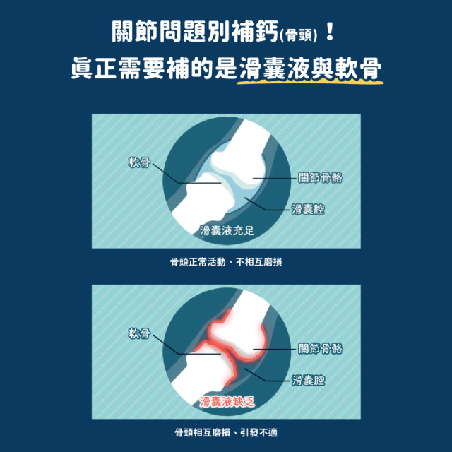 【團購】汪喵星球  UCII 關節保養粉 (日常保養配方)
