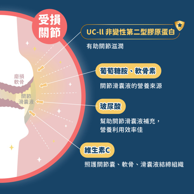 【團購】汪喵星球  UCII 關節保養粉 (日常保養配方)