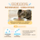 【團購】汪喵星球 犬貓適用無膠慢燉純湯罐 80g