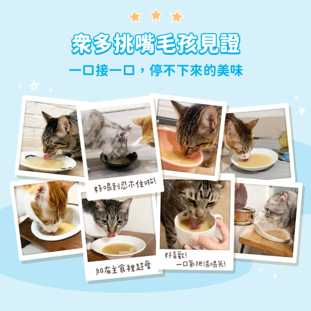【團購】汪喵星球 犬貓適用無膠慢燉純湯罐 80g
