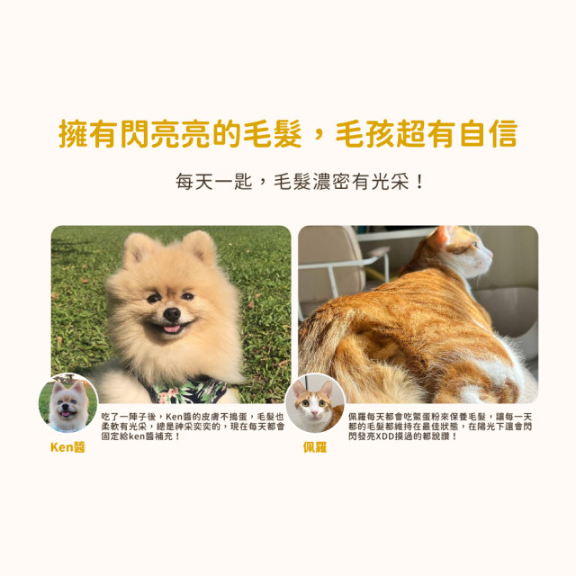【團購】汪喵星球 亮毛護膚鱉蛋粉 60g