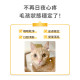 【團購】汪喵星球 免疫力健康保養粉（升級版） 50顆
