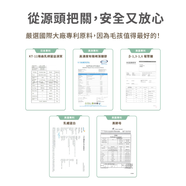 【團購】汪喵星球 免疫力健康保養粉（升級版） 50顆