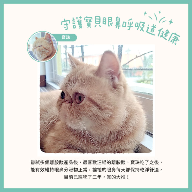 【團購】汪喵星球 100% Pure 純離胺酸 50g