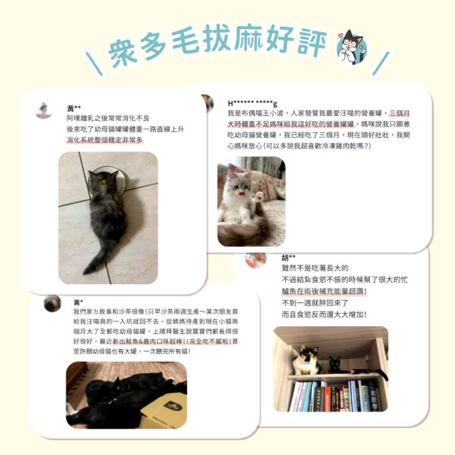 【團購/社群享98折】汪喵星球 營養罐 幼母貓無膠營養主食罐 箱購