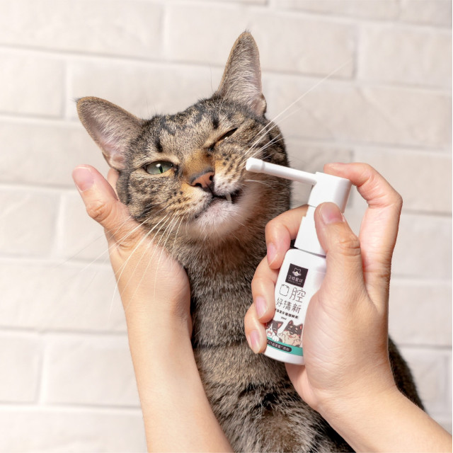 【團購】汪喵星球 潔牙護理酵素 犬貓潔牙酵素 30ml