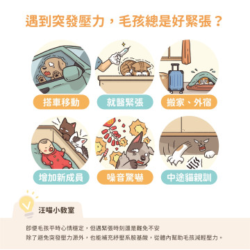 【團購】汪喵星球 紓壓胺基酸 犬貓紓壓胺基酸  2g/20包