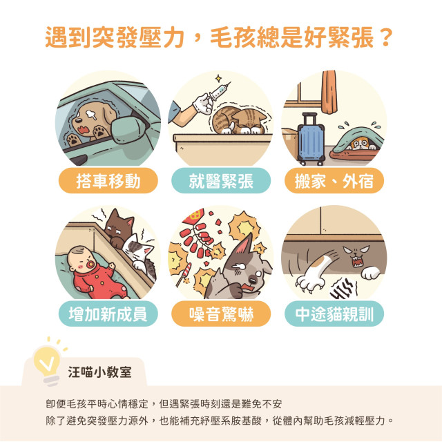 【團購】汪喵星球 紓壓胺基酸 犬貓紓壓胺基酸  2g/20包