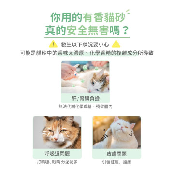 【團購/社群享98折】免運 汪喵星球 益生菌消臭花草豆腐砂 (條型) 2.7kg*6包