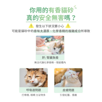 【團購/社群享98折】免運 汪喵星球 益生菌消臭花草豆腐砂 (條型) 2.7kg*6包