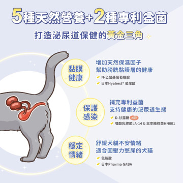 【團購】汪喵星球 泌尿道健康保養粉 (升級版) 90顆