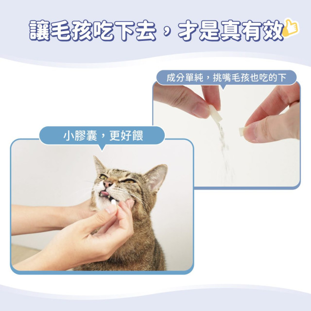 【團購】汪喵星球 泌尿道健康保養粉 (升級版) 90顆