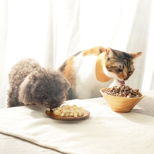 【團購】汪喵星球 犬貓適用 冷凍乾燥原肉小零嘴小丁狀