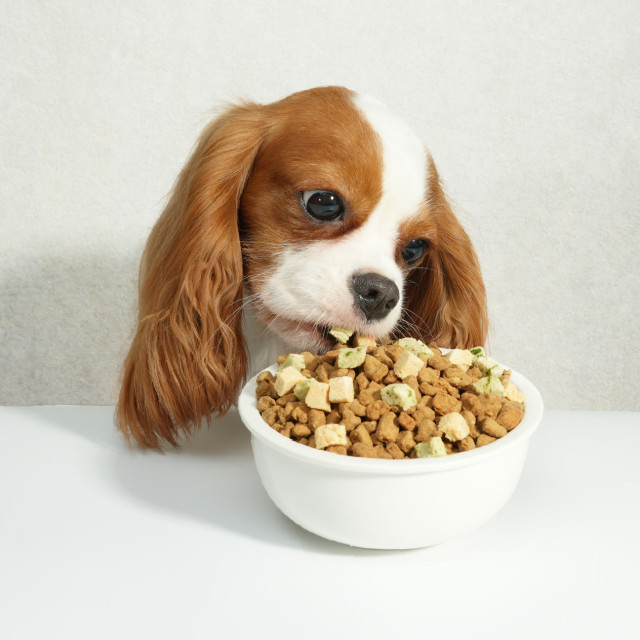 【團購/社群享98折】汪喵星球 犬用 慢烘鮮食蔬肉糧