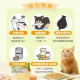 【團購/社群享98折】汪喵星球 貓咪凍乾主食餐 (小方粒型)