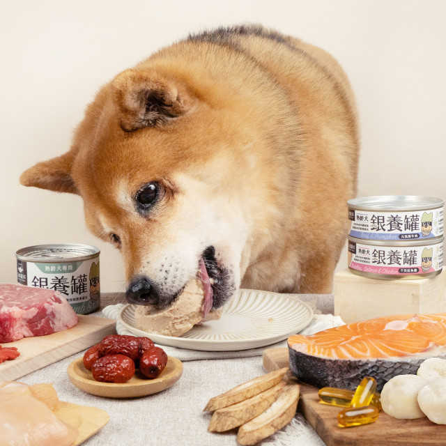 【團購】汪喵星球 銀養罐 熟齡犬無膠銀養主食罐 箱購