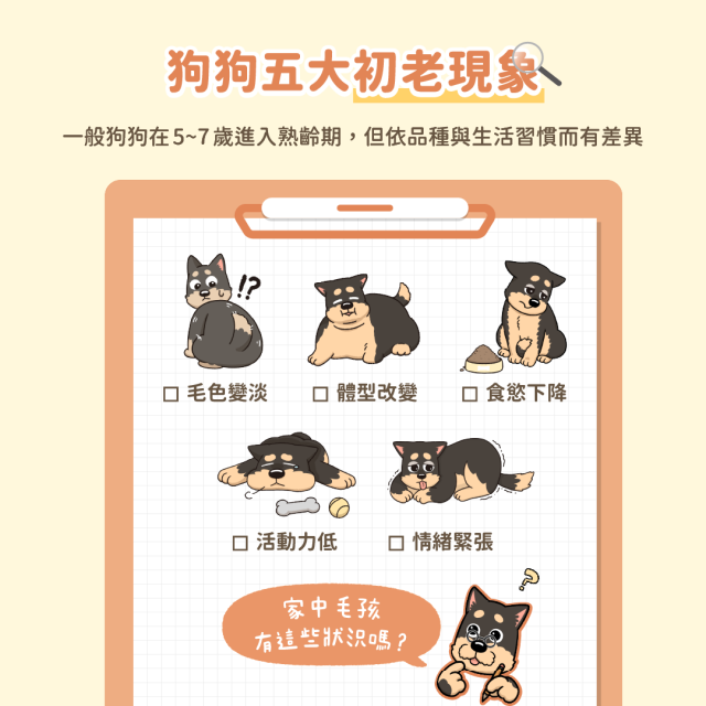 【團購】汪喵星球 銀養罐 熟齡犬無膠銀養主食罐 箱購