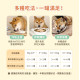 【團購】汪喵星球 銀養罐 熟齡犬無膠銀養主食罐 箱購