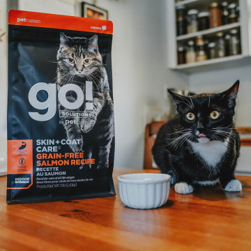【團購】go! 野生鮭魚 全貓 皮毛保健無穀貓糧 300g