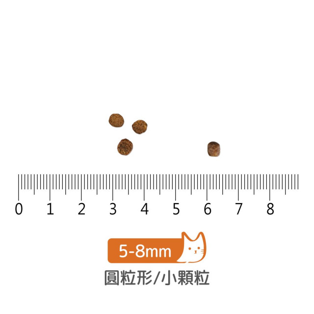 【團購】go! 野生鮭魚 全貓 皮毛保健無穀貓糧 300g
