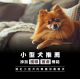 【團購/社群享98折】HeroMama 天然蔬果肉鬆糧（小型犬推薦）全齡犬適用