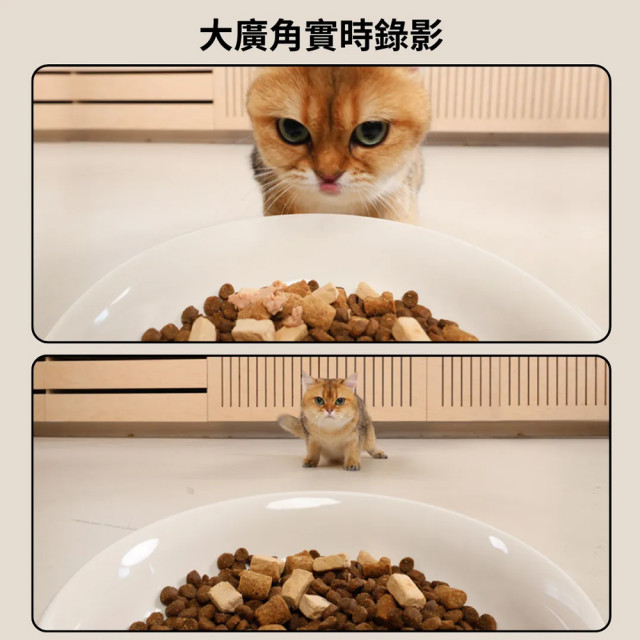 【團購/社群享98折】台灣總代理公司貨 meoof 蛋捲餵食器