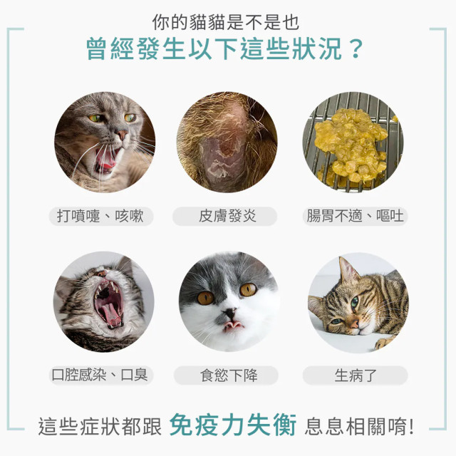 【團購】獸研所 貓咪免疫保養主食罐 80g