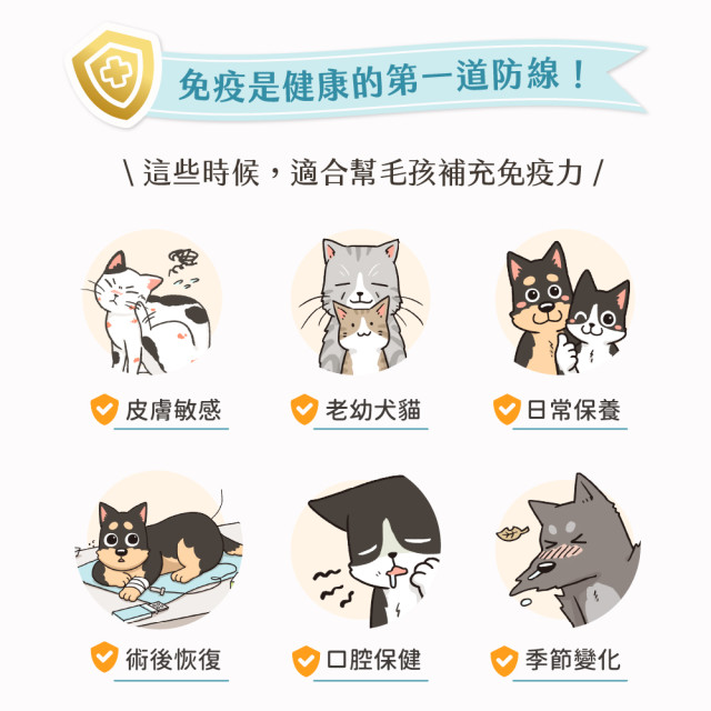 【限量優惠】汪喵星球 犬貓保健肉泥 一盒20包入