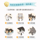 【限量優惠】汪喵星球 犬貓保健肉泥 一盒20包入