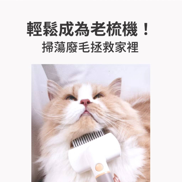 【團購】voocoo蔚刻 三合一寵物除毛梳