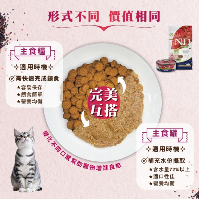 Farmina 法米納 N&D天然藜麥無穀機能主食貓罐 80g